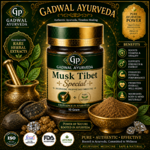 Musk Tibet Special
