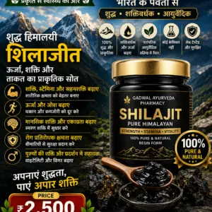 Shilajit